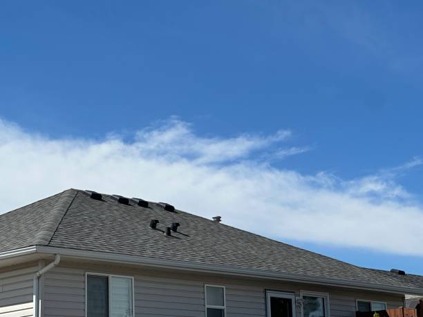 Reliable Milan, NM Roofing Services Solutions